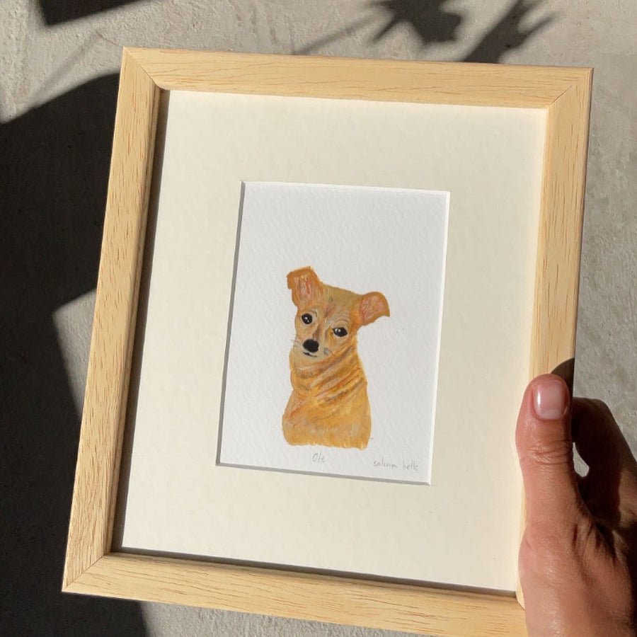 Chihuahua