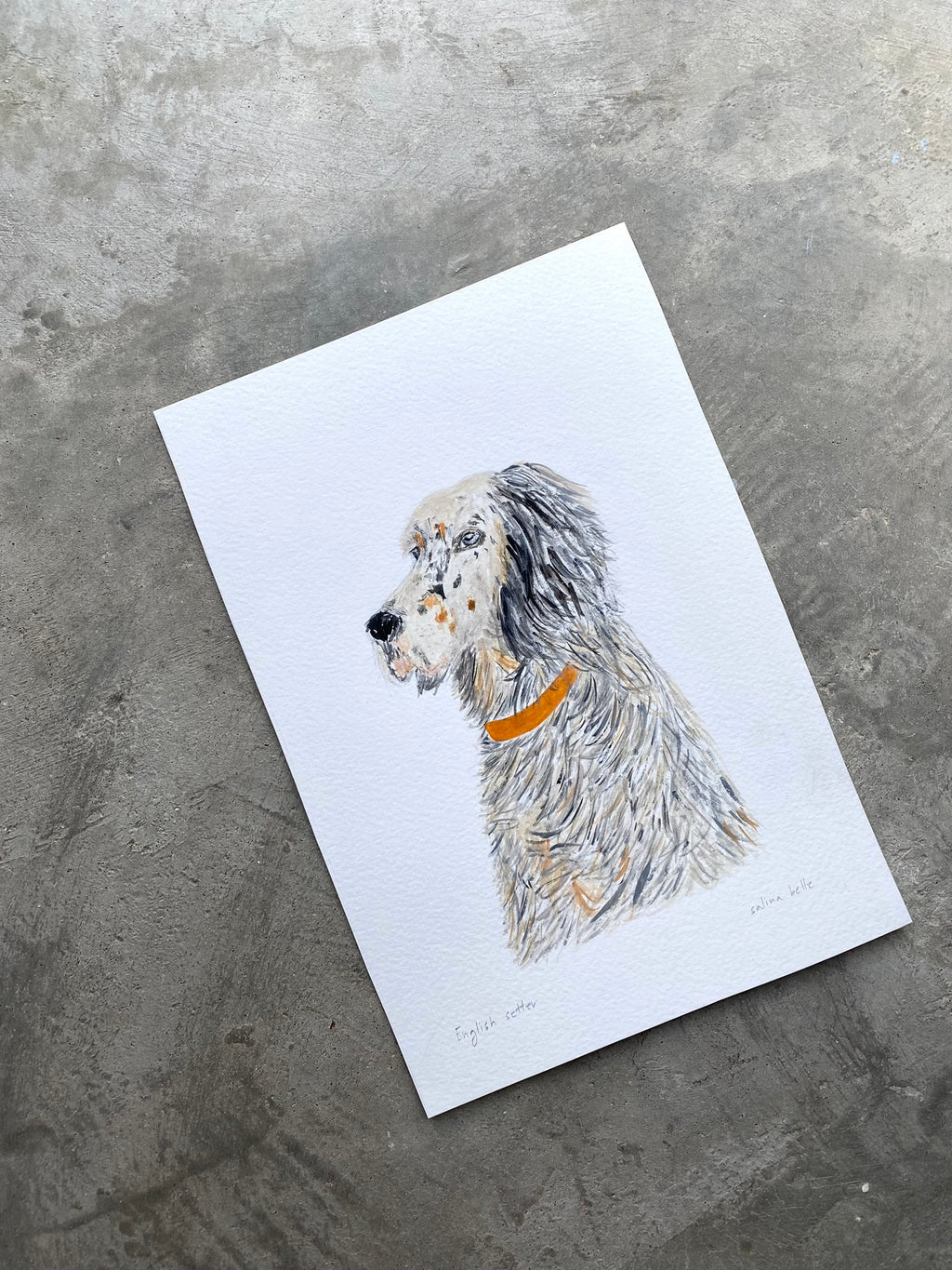 English Setter Dog Portrait
