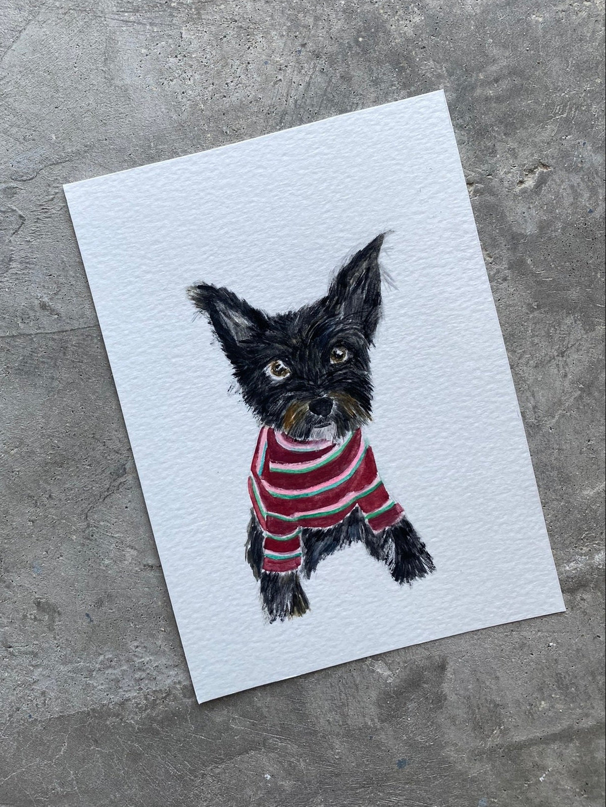 Black Pup with stripped sweater