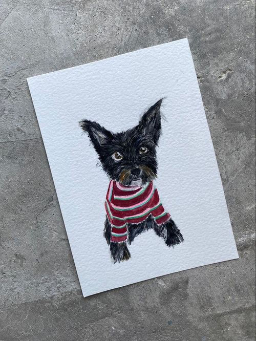 Black Pup with stripped sweater