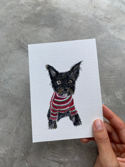 Black Pup with stripped sweater