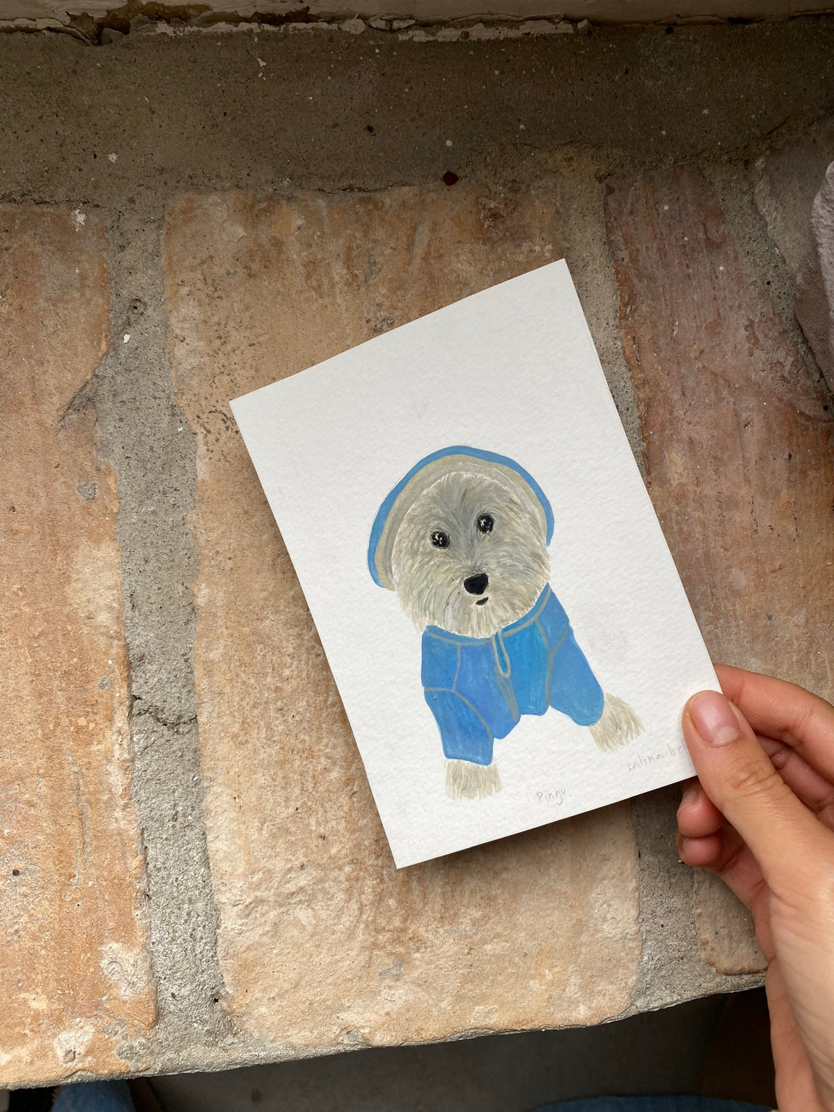 Pingu Mini Perrito Portrait