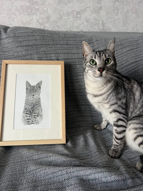 Cat Portrait