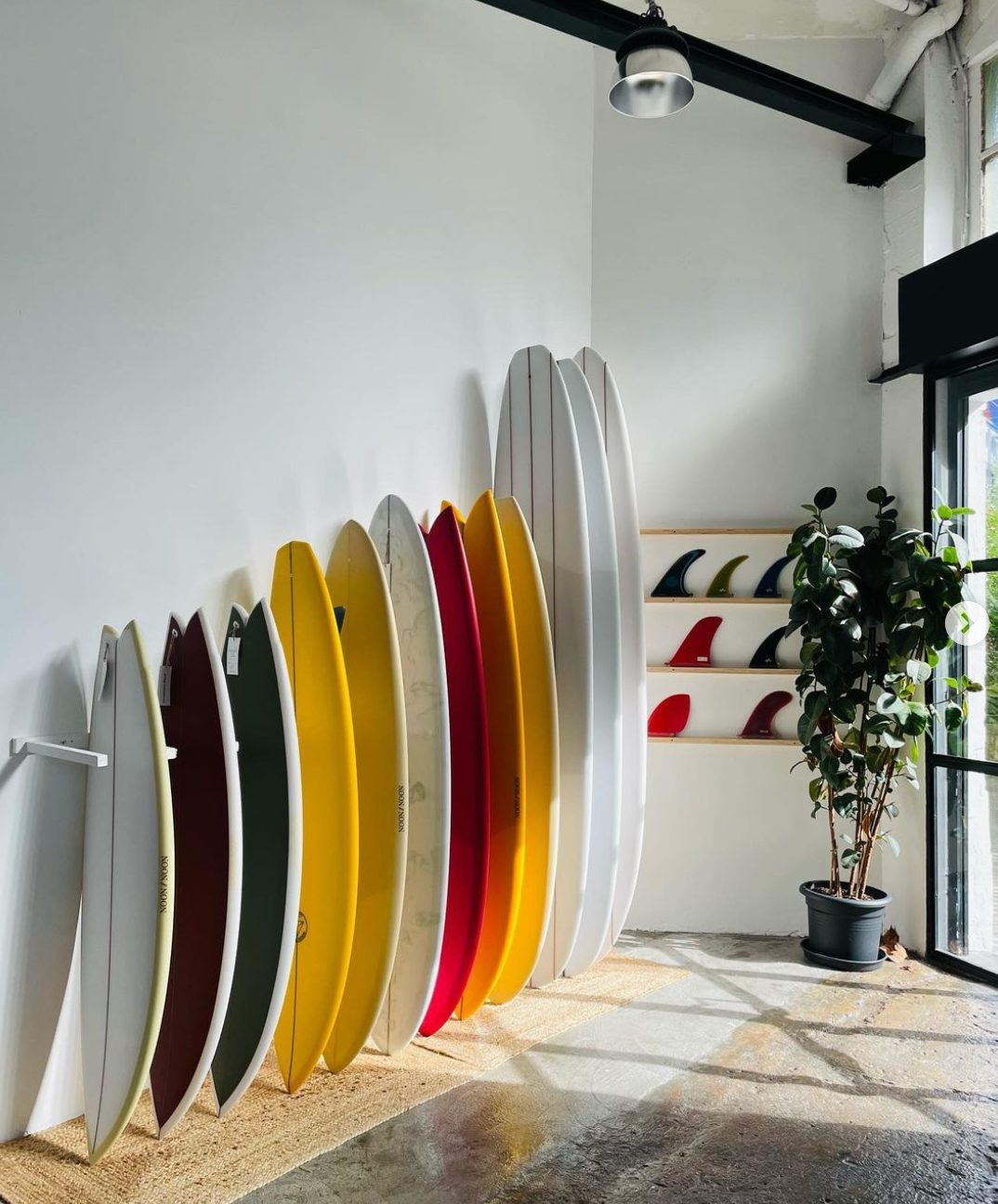 Frontera Surf Shop