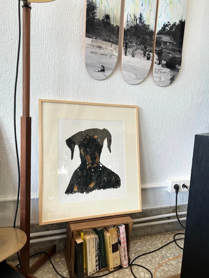 Tola Perrito Portrait Size XL
