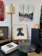 Tola Perrito Portrait Size XL