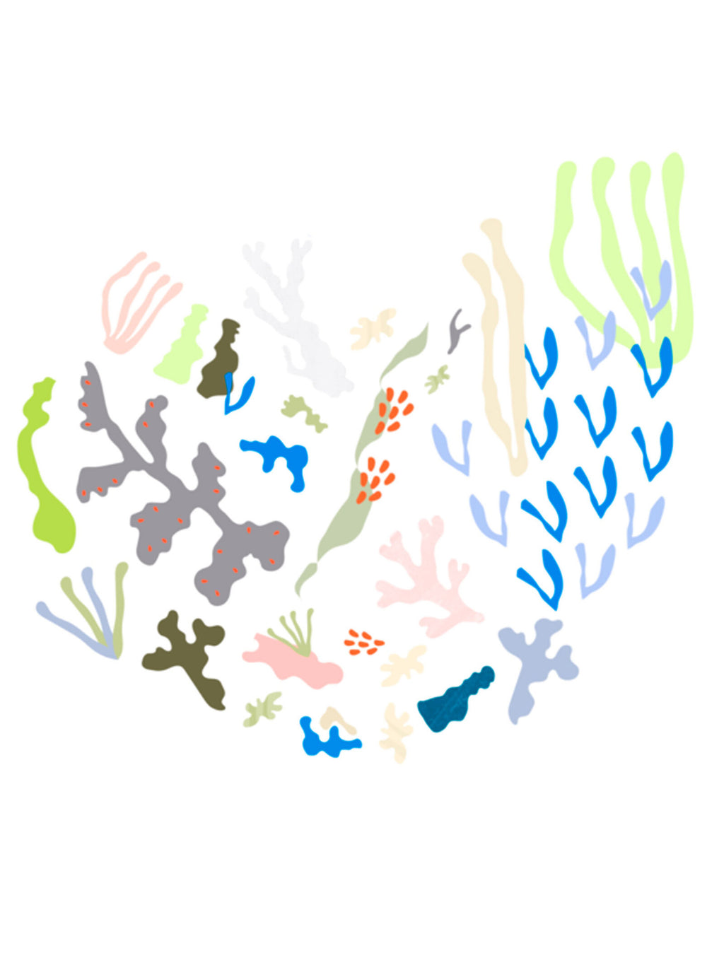 Seaweed Puzzle