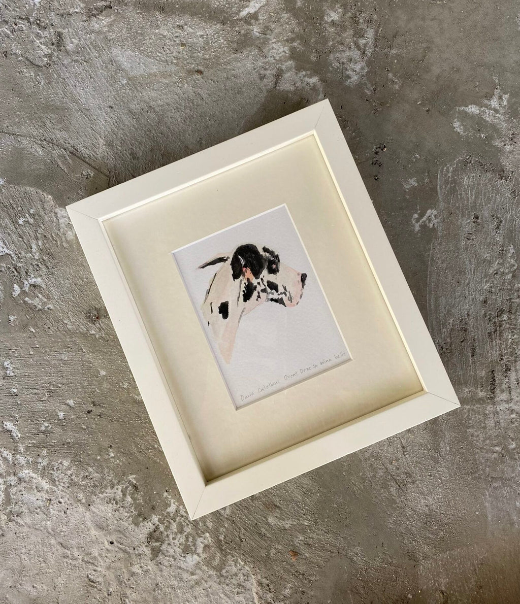Great Dane Perrito Portrait by Salina Belle