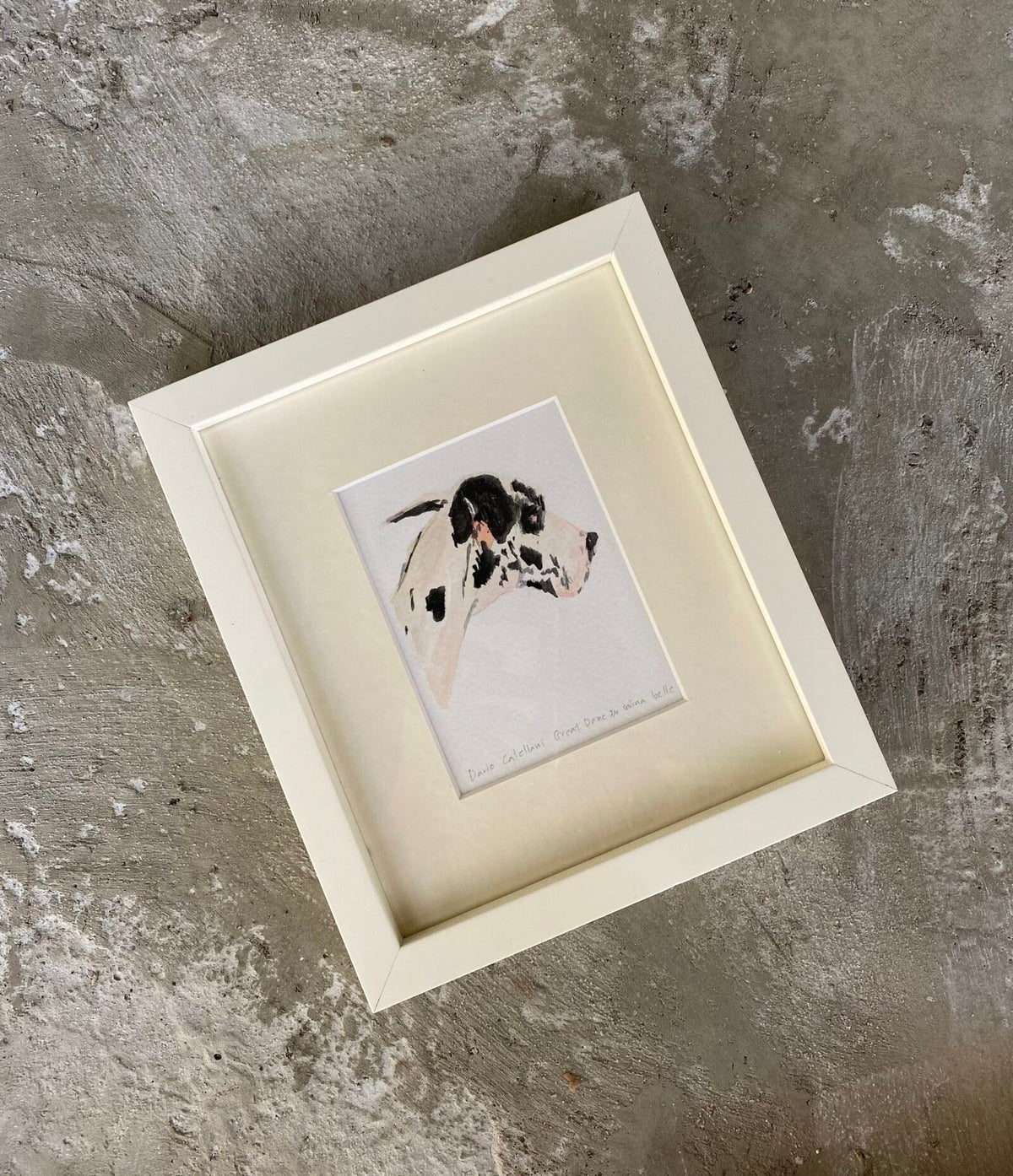 Great Dane Perrito Portrait by Salina Belle