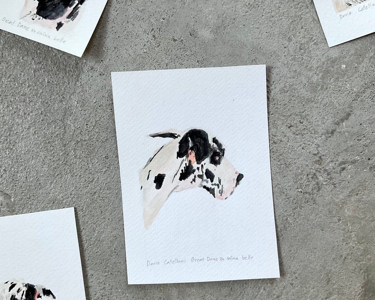 Great Dane Original Artwork by Salina Belle