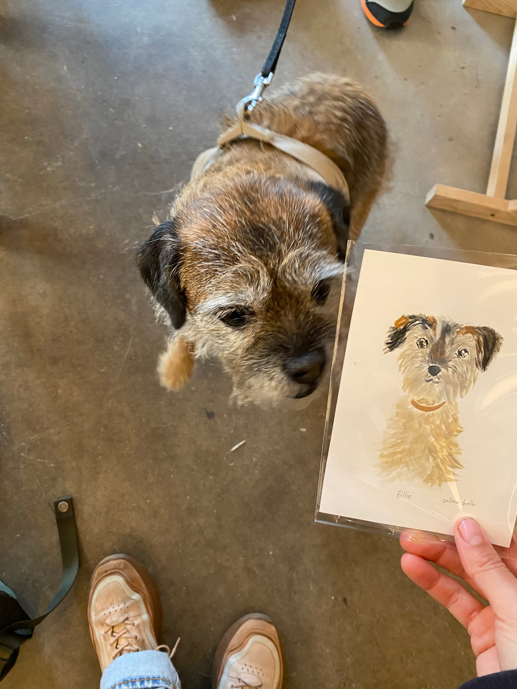 Perrito Sketch