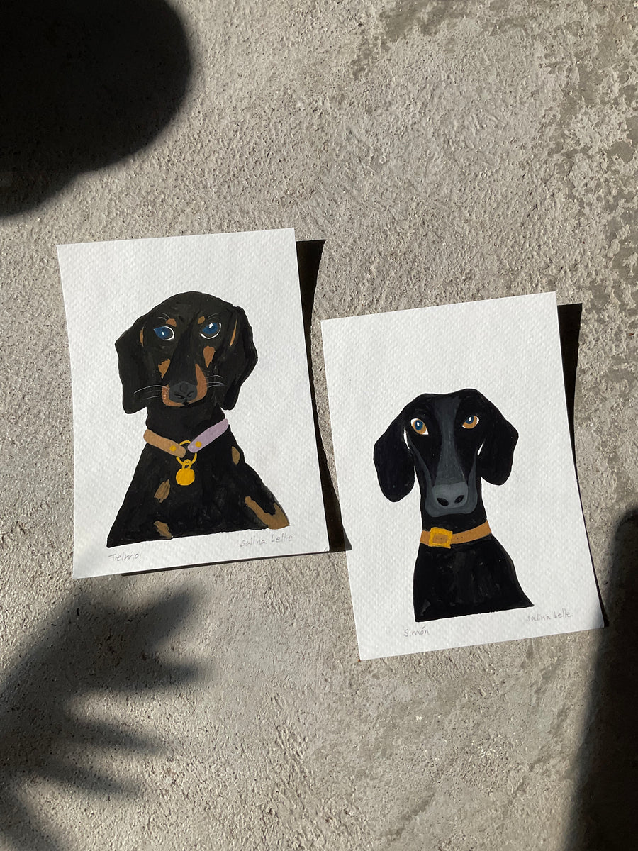 Dachshund